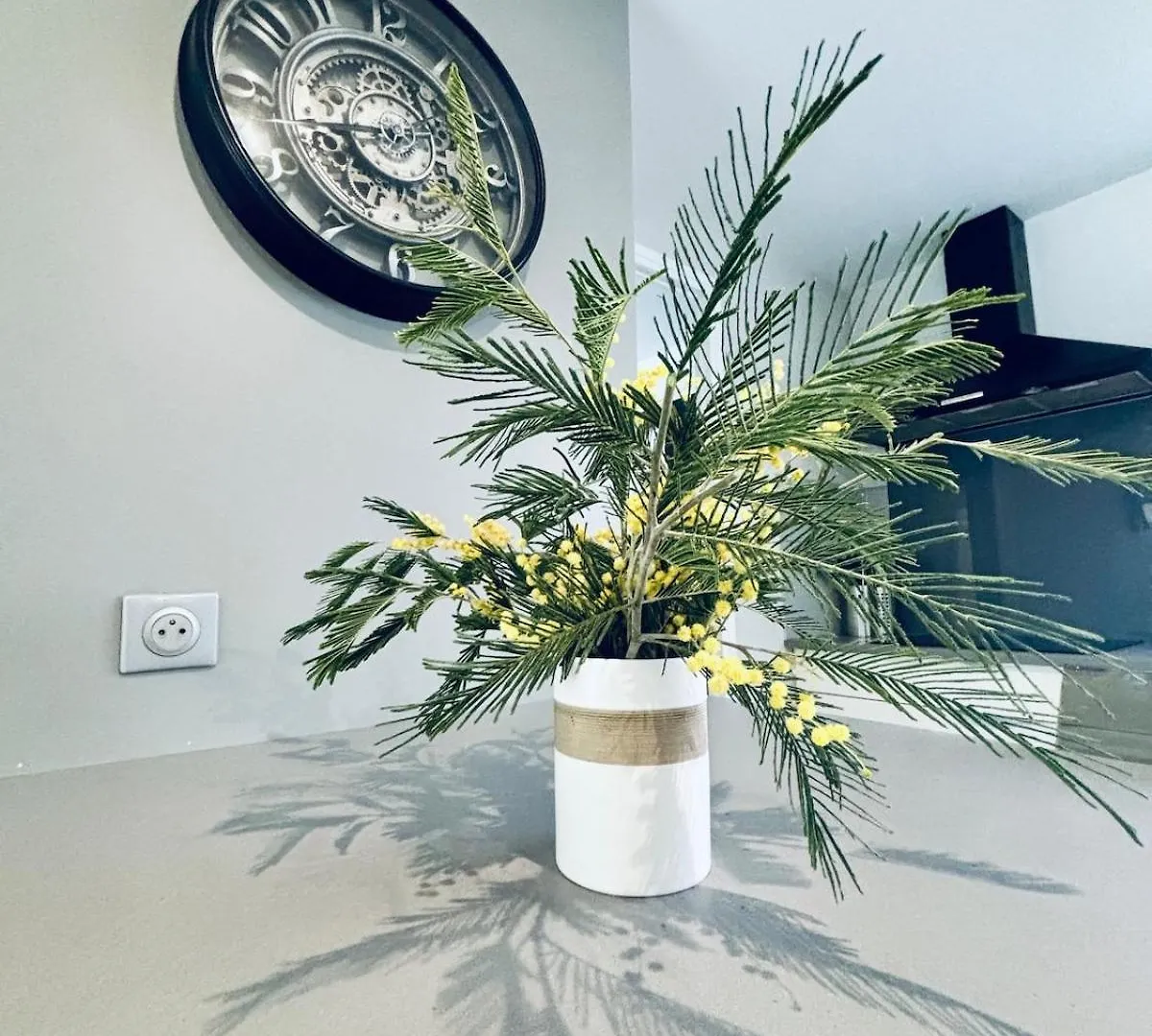 Villa Tropicannes Pool 5 Bedrooms Le Cannet